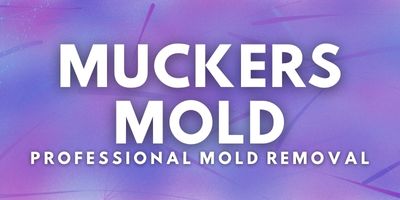Muckers Mold – Mold Remediation Service